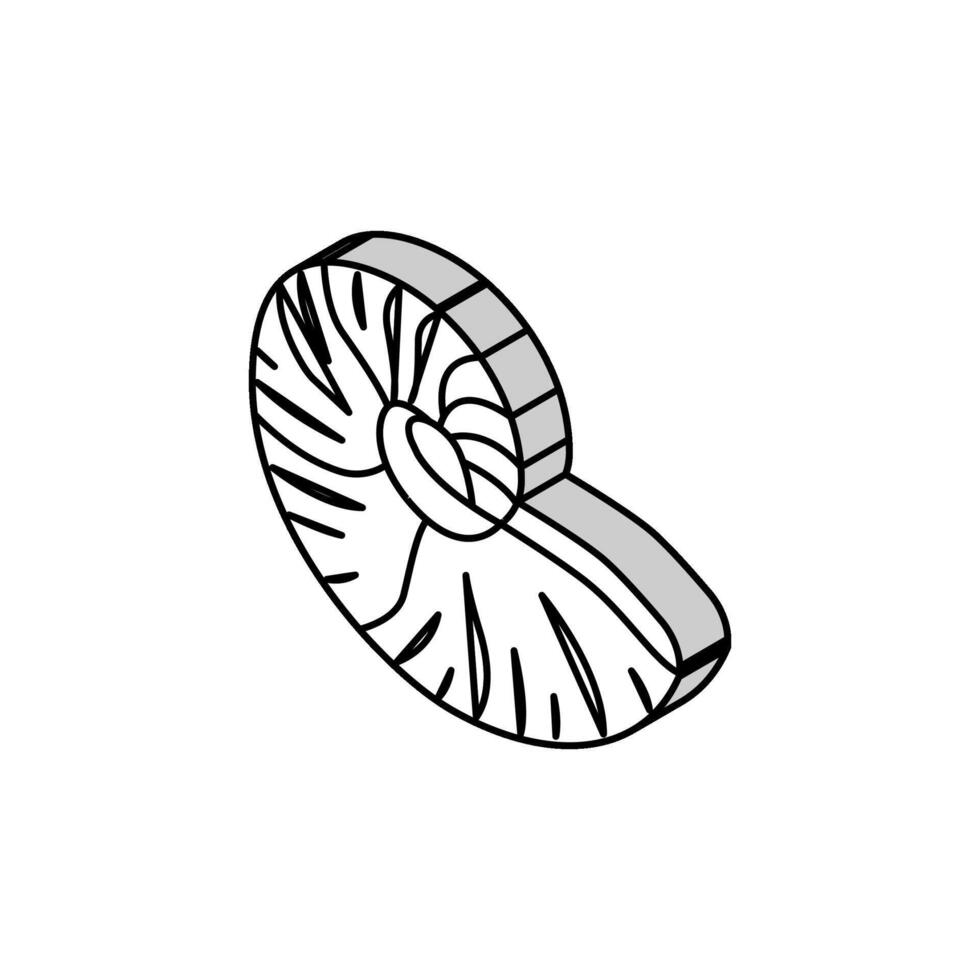 nautilo mar cáscara playa isométrica icono vector ilustración