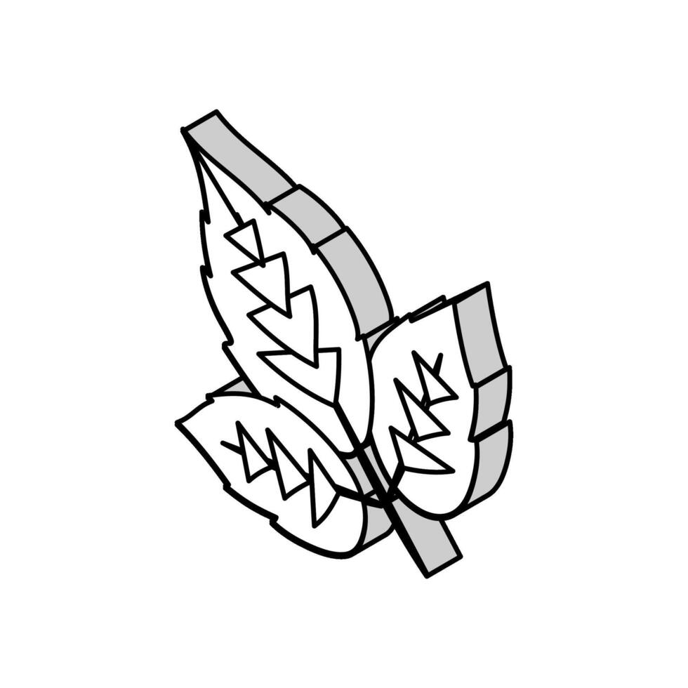 leaves raspberry fruit isometric icon vector illustration