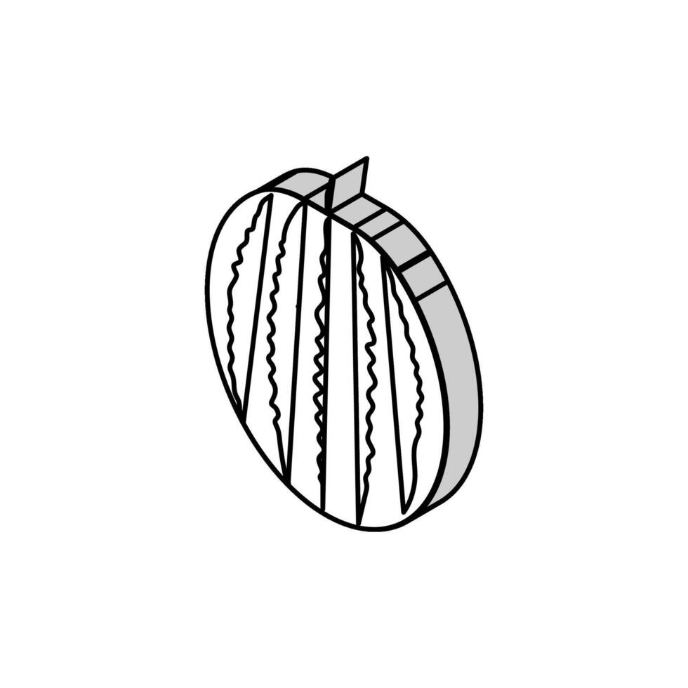 maduro sandía isométrica icono vector ilustración