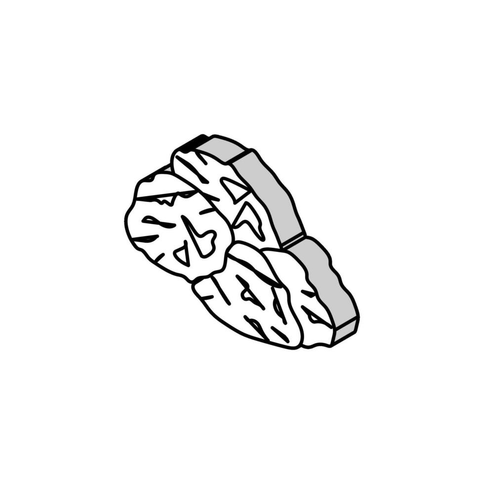 raisin grape isometric icon vector illustration