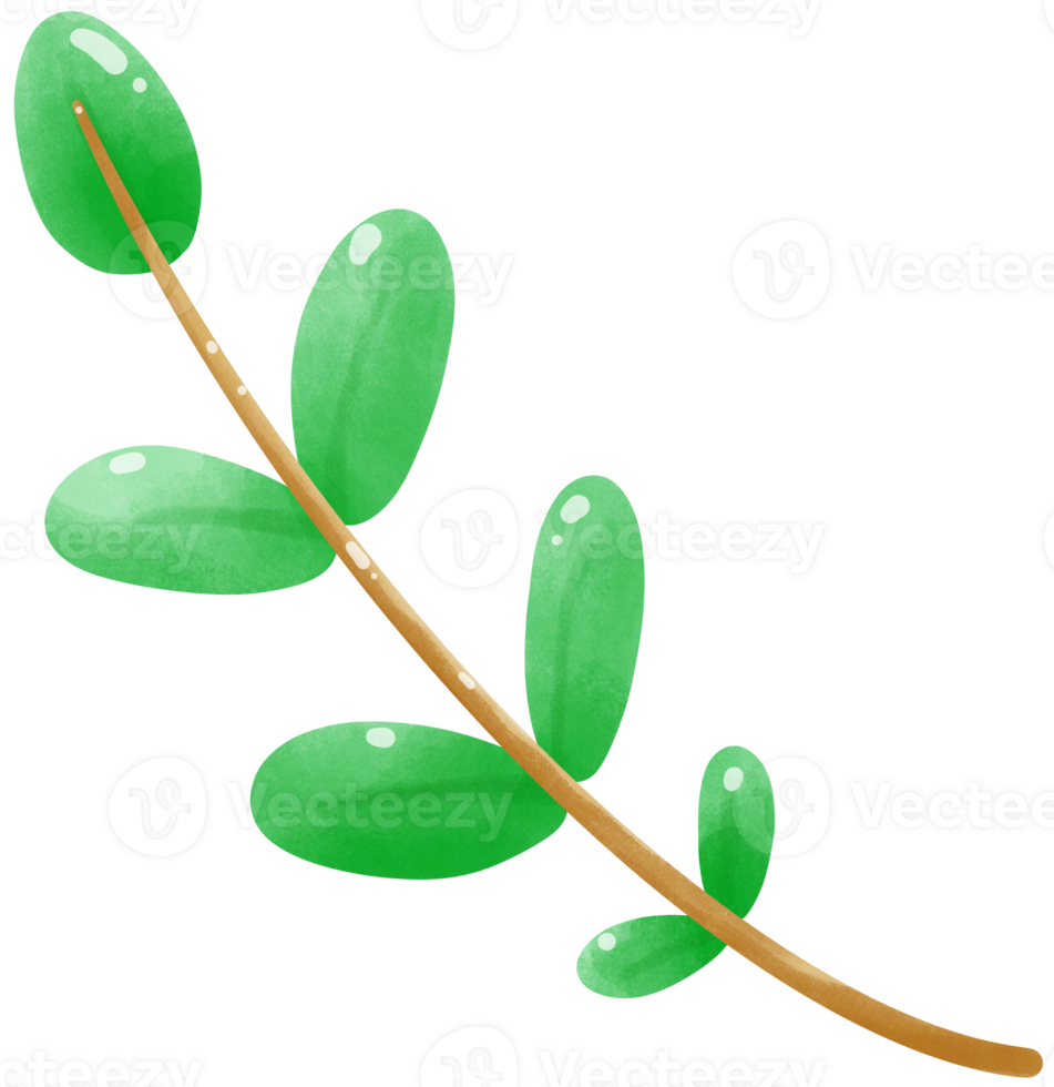 Green leaves branch png