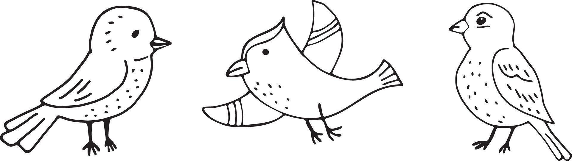 Three cute birds to color. Vector illustration 39835426 Vector Art at
