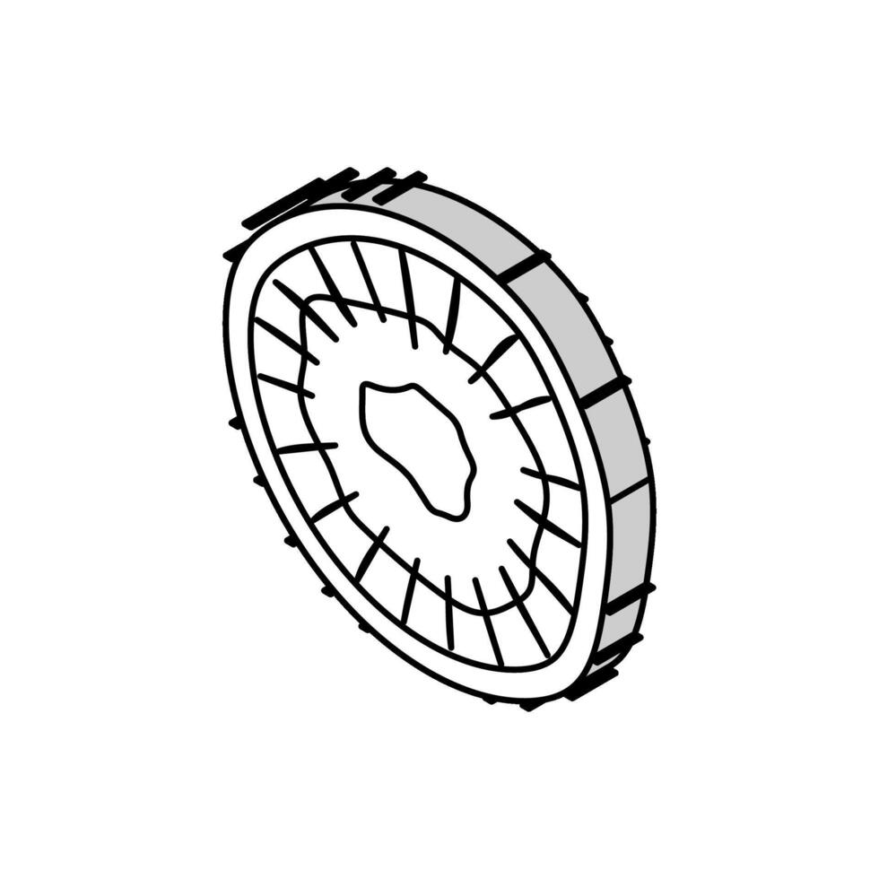 cut kiwi fresh isometric icon vector illustration