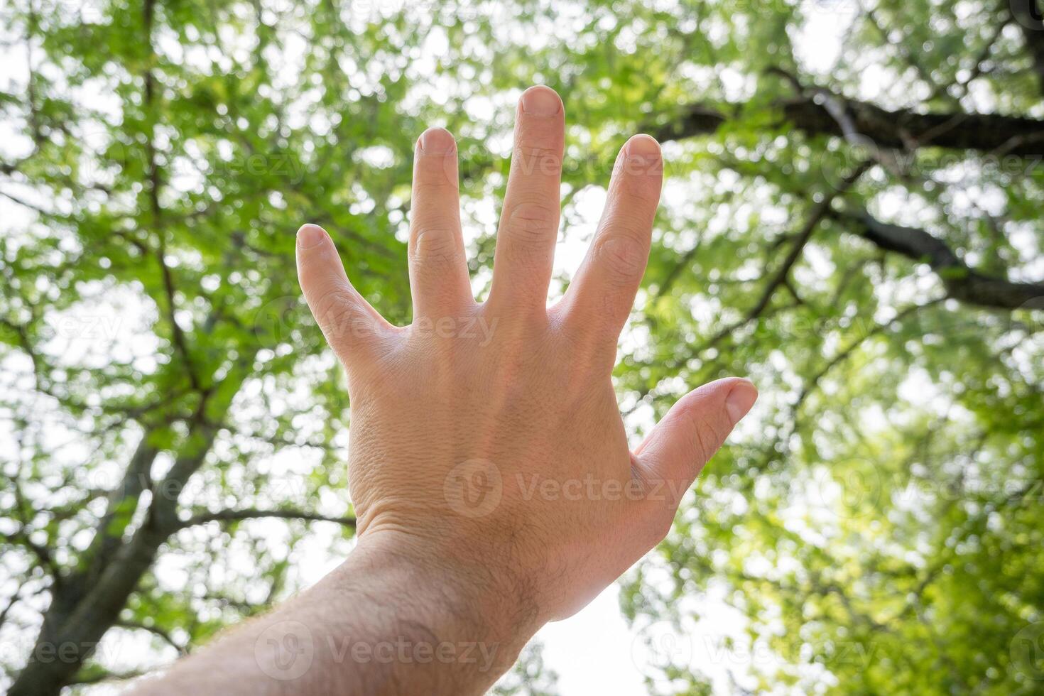 Hand pointing to the sky in a forest blocking the sun, concept of nature and humanity photo