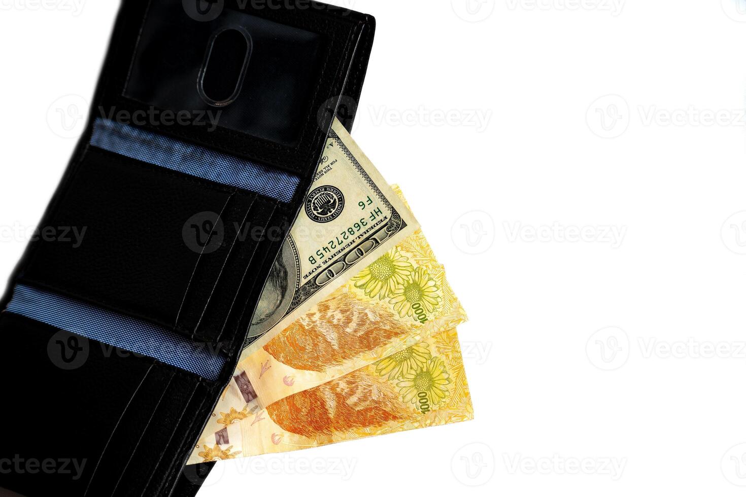 Wallet with Argentine and dollar bills, concept to represent bi-monetary economy. photo