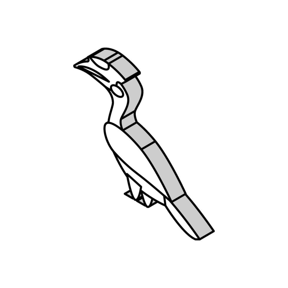 malabar de varios colores cálao pájaro exótico isométrica icono vector ilustración