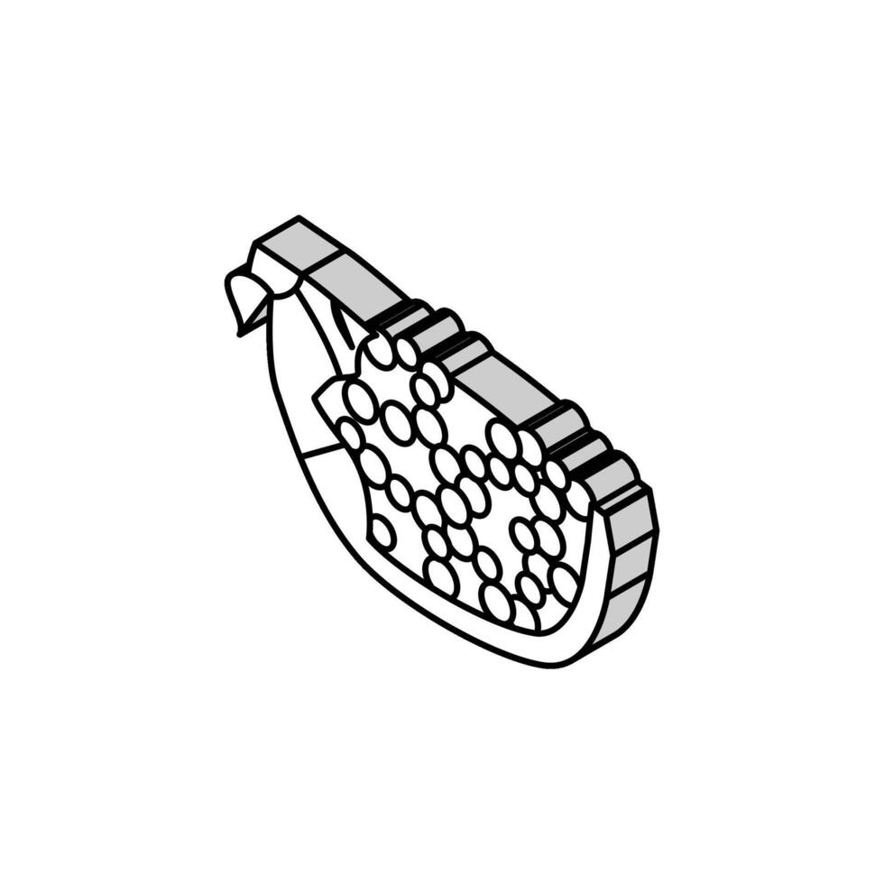pomegranate cut ripe slice isometric icon vector illustration