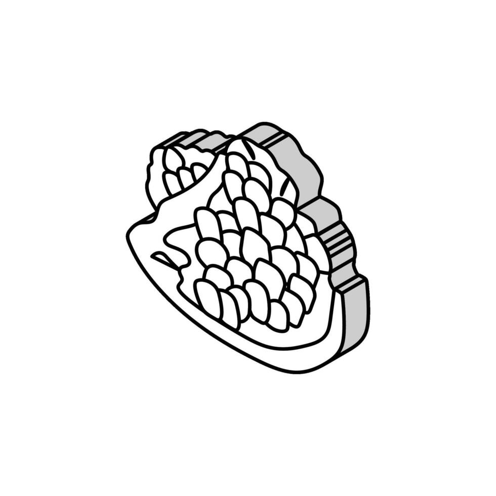 cortar granada Fruta isométrica icono vector ilustración