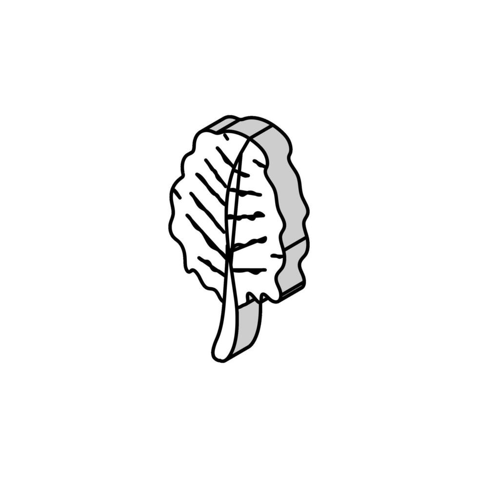 chard salad food isometric icon vector illustration