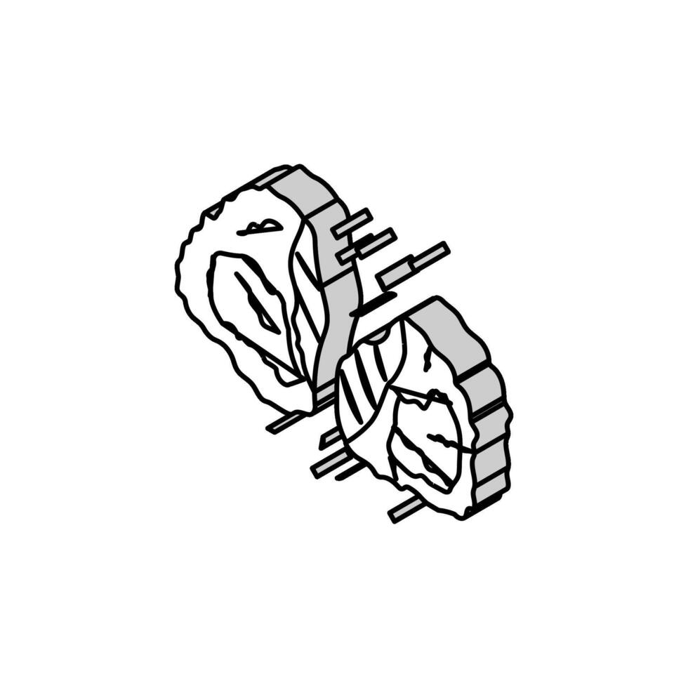 crispy chicken fried isometric icon vector illustration