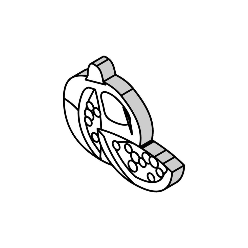 pomegranate whole slice red cut isometric icon vector illustration