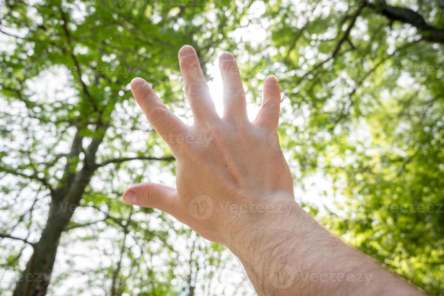 Hand covering the sun with its fingers while a ray of light passes between them, in the background you can see tree branches. photo