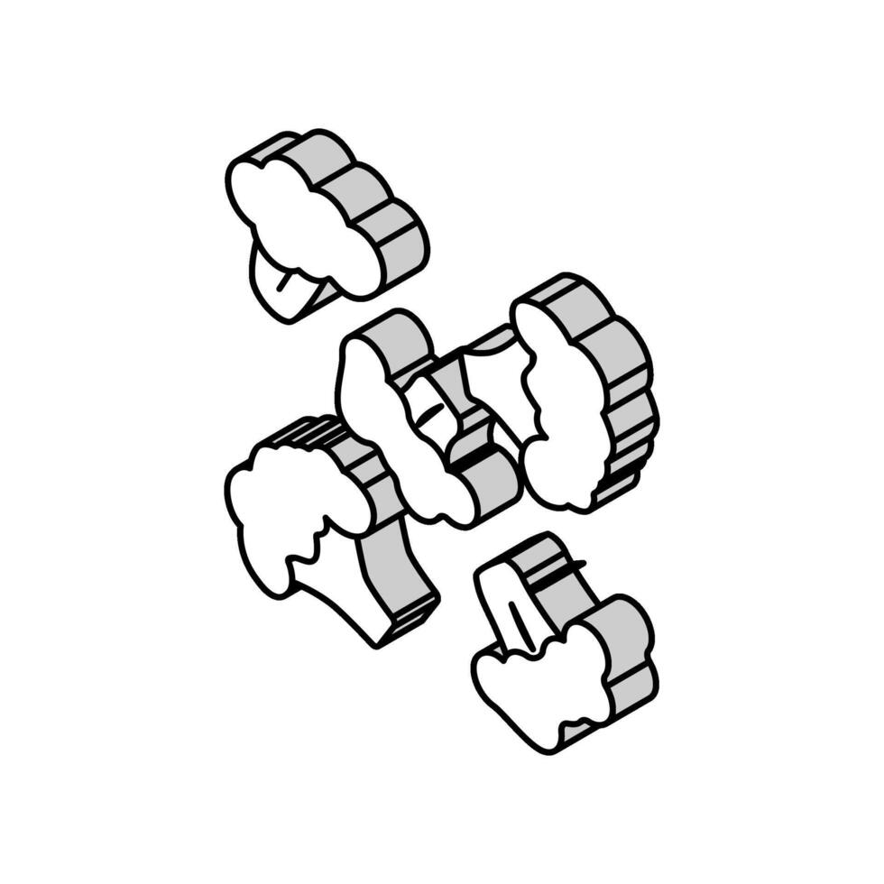 piece broccoli isometric icon vector illustration