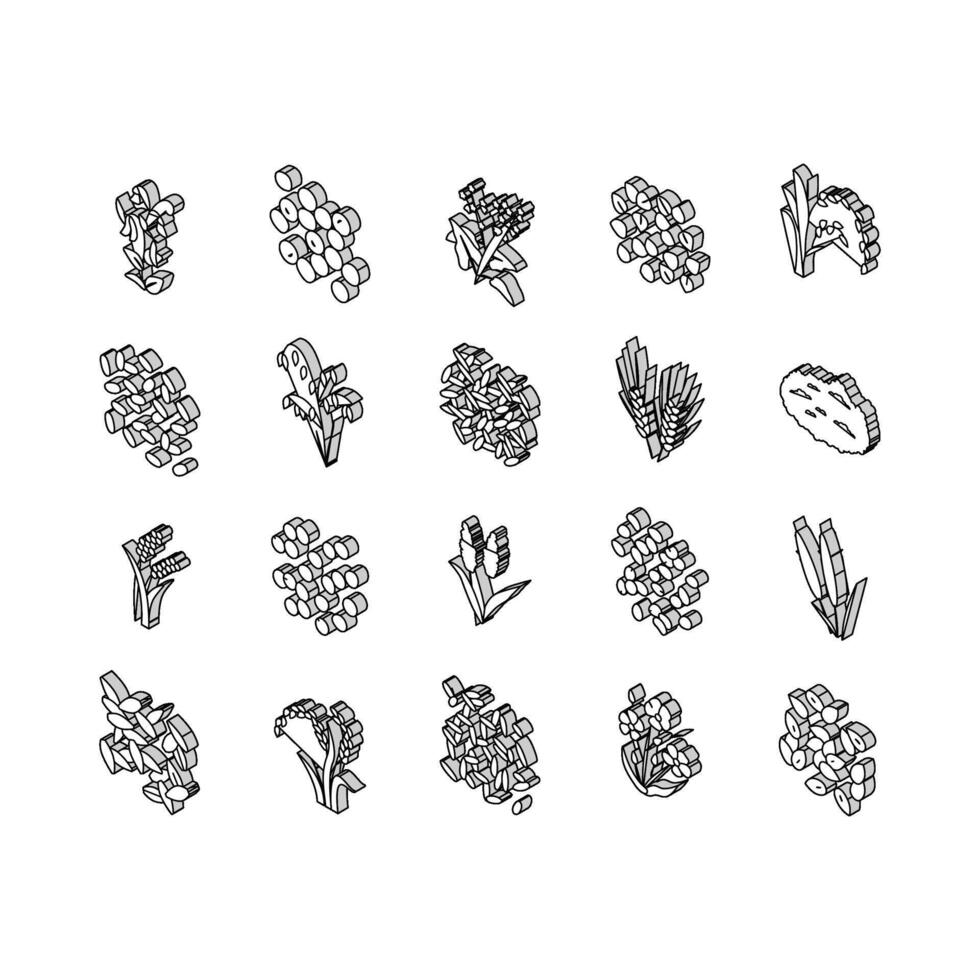cereal planta sano comida isométrica íconos conjunto vector