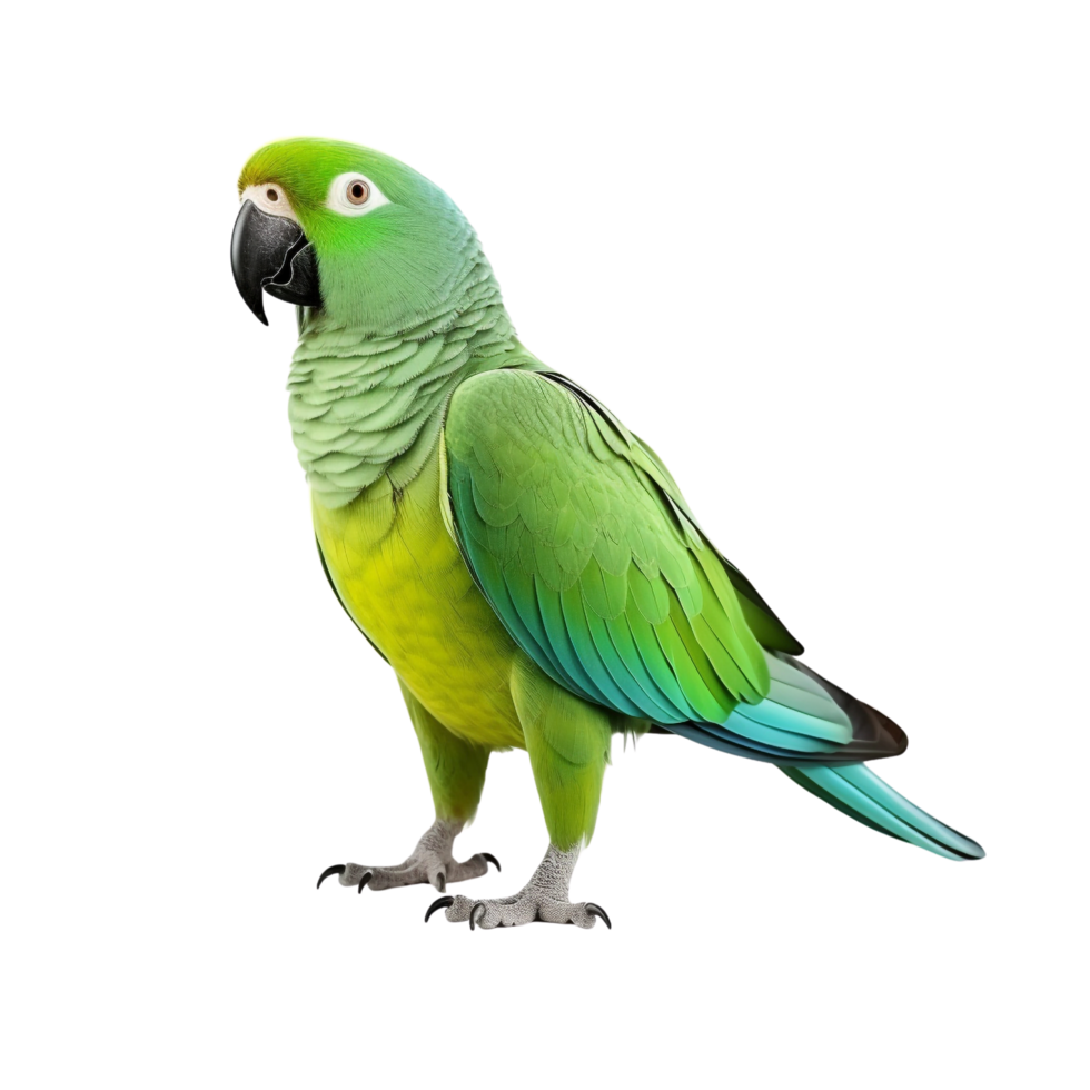 AI generated Parrot clip art png