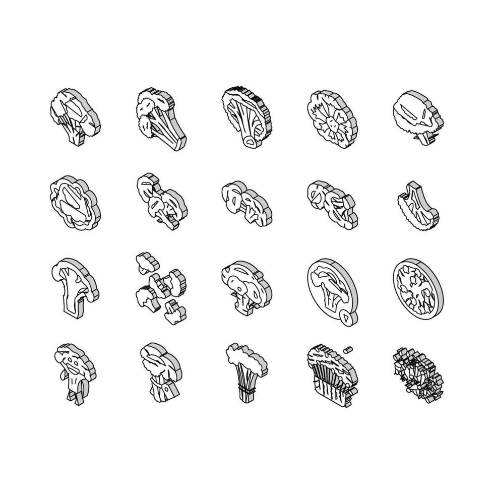 broccoli food cabbage vegetable isometric icons set vector
