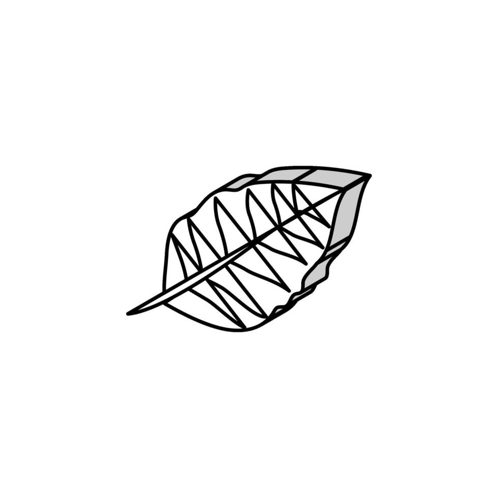 stelizia tropical leaf isometric icon vector illustration