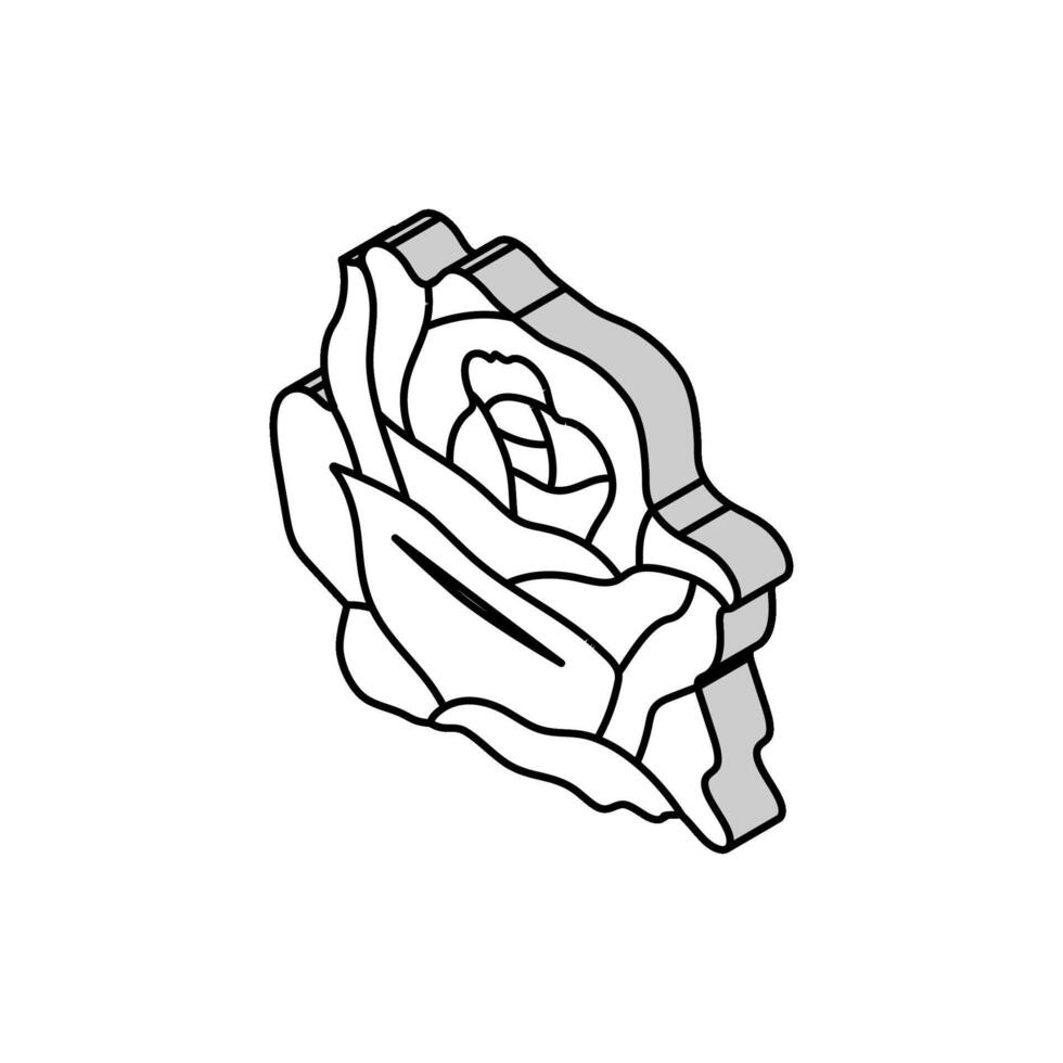 Rosa flor primavera isométrica icono vector ilustración