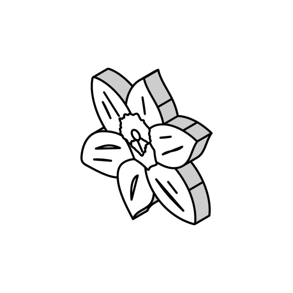 narciso flor primavera isométrica icono vector ilustración