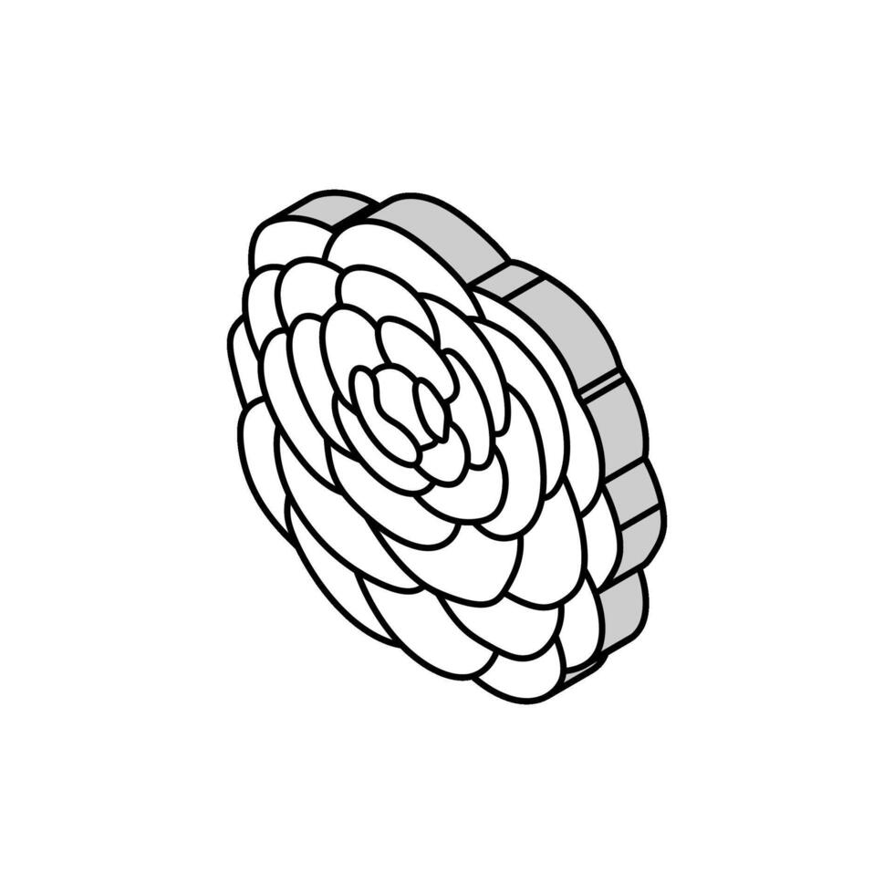 camelia flor primavera isométrica icono vector ilustración