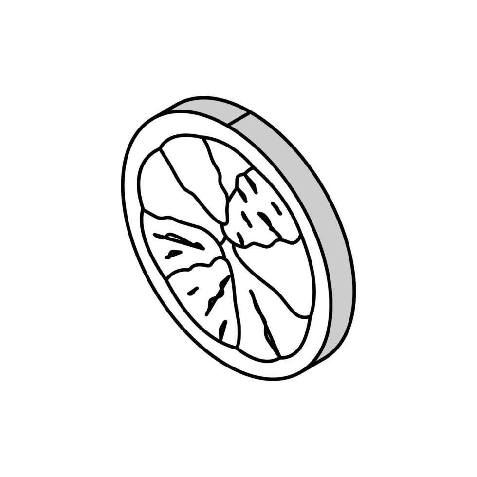 orégano comida hierba isométrica icono vector ilustración