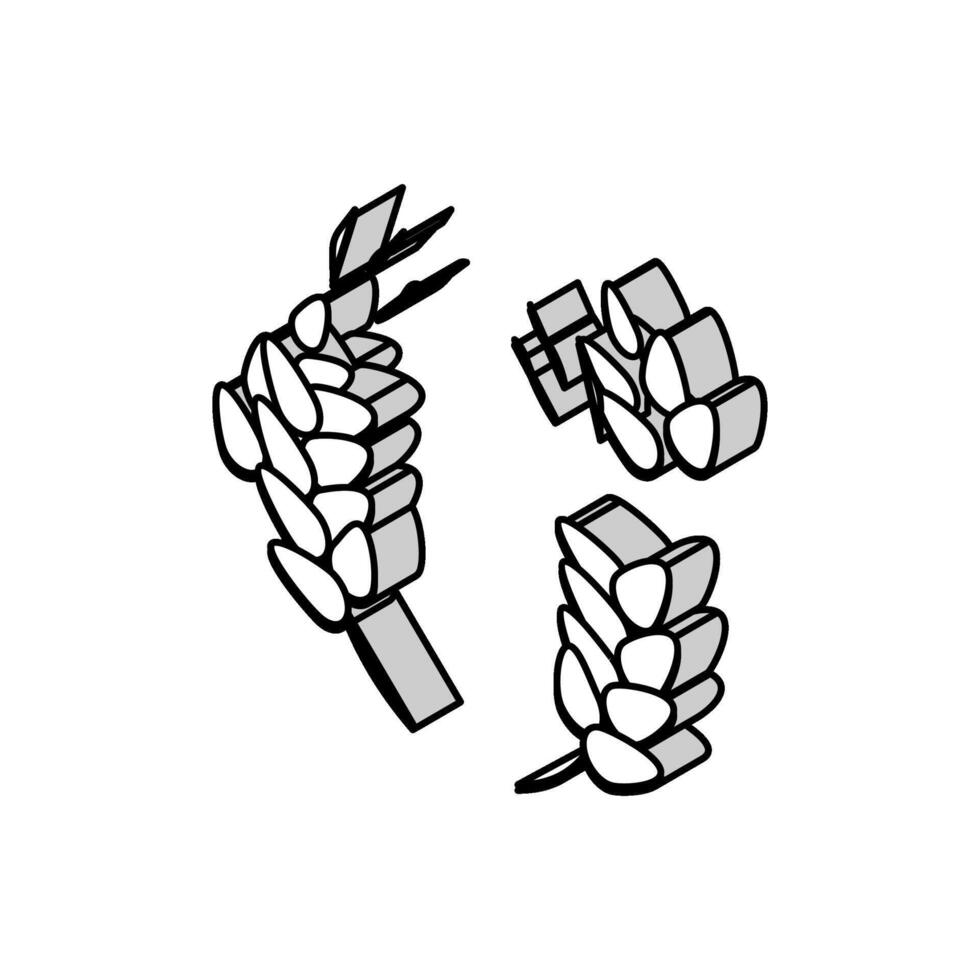 guirnalda orejas de trigo isométrica icono vector ilustración