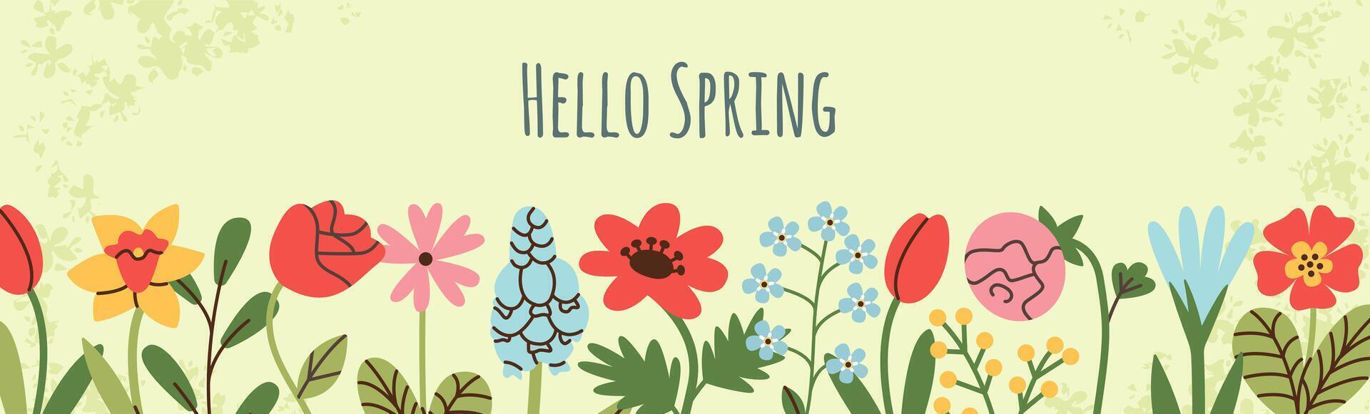 Hello Spring. Vector horizontal spring banner. Floral green background. Tulips, colorful spring flowers and branches.