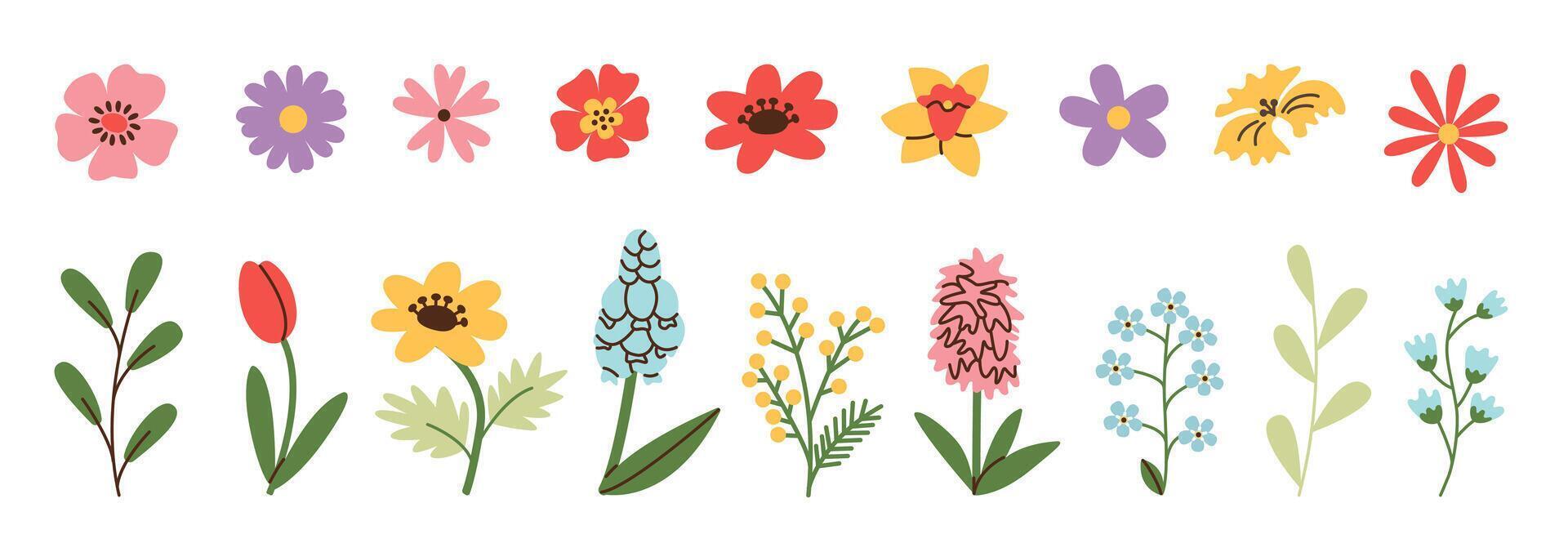 Spring and summer flowers set. Simple doodle flower plants isolated on white background. Colorful flat vector illustration.