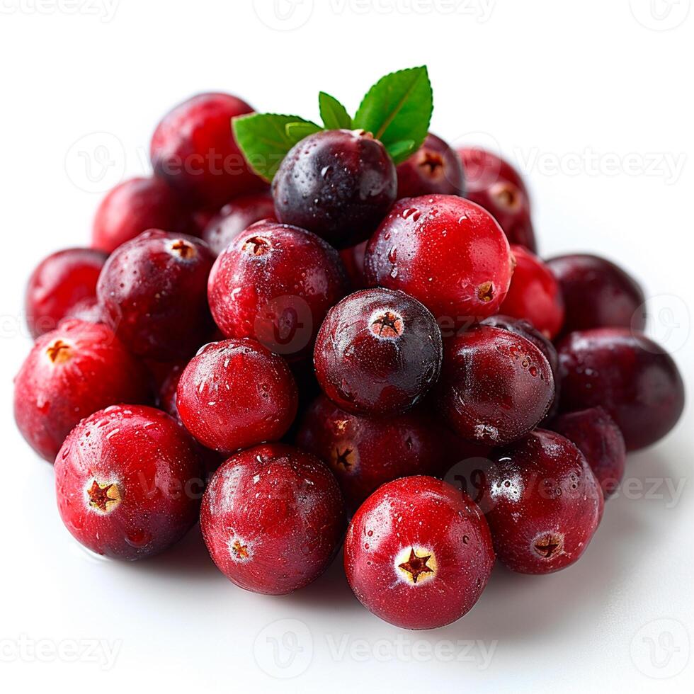 AI generated Cranberry berry on white isolated background - AI generated image photo