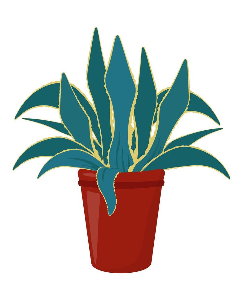 Houseplants agave, a perennial succulent with spiny rosette leaves in a bright pot vector