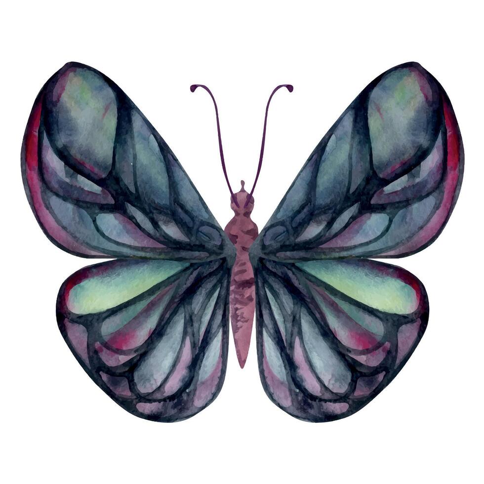 Hand drawn watercolor illustration butterfly fairy wings gem crystal insect moth. Tourmaline pearl labradorite opal. Single object isolated on white background. Design print, shop, wedding, birthday vector