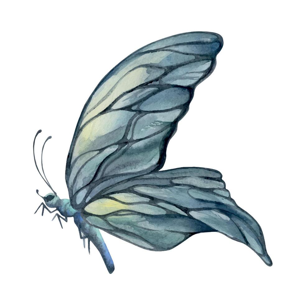 Hand drawn watercolor illustration butterfly fairy wings gem crystal insect moth. Opal moonstone pearl labradorite. Set of objects isolated on white background. Design print, shop, wedding, birthday vector