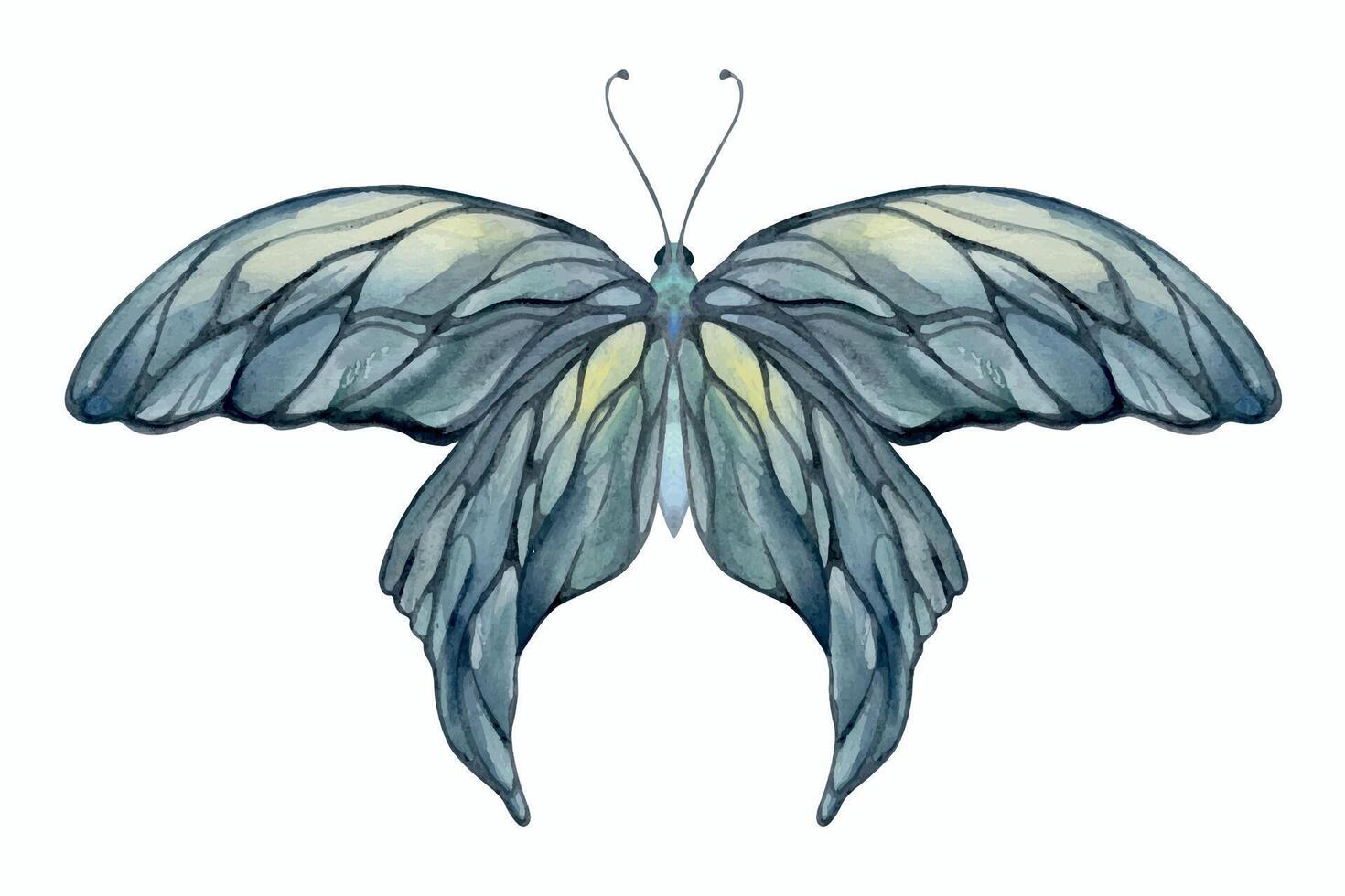 Hand drawn watercolor illustration butterfly fairy wings gem crystal insect moth. Opal moonstone pearl labradorite. Set of objects isolated on white background. Design print, shop, wedding, birthday vector