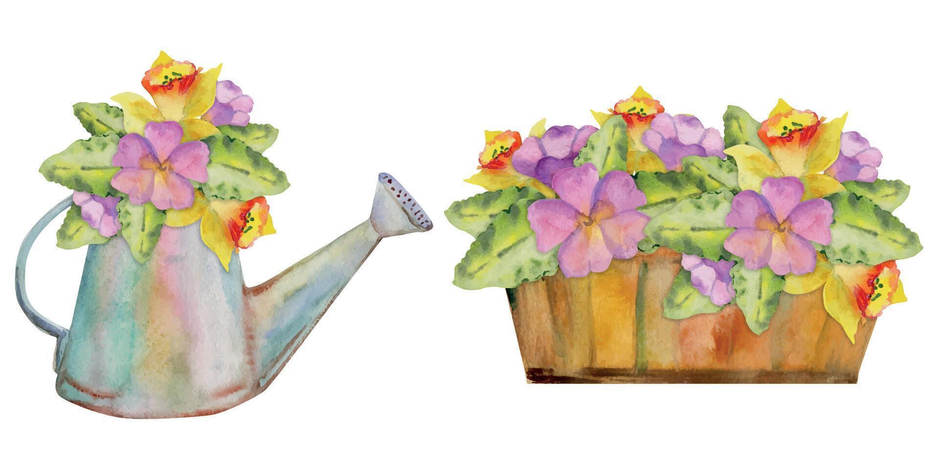 mano dibujado acuarela ilustración primavera jardinería, riego lata y de madera caja con flores hojas. conjunto de objetos aislado blanco antecedentes. diseño imprimir, comercio, álbum de recortes, embalaje, decoupage vector