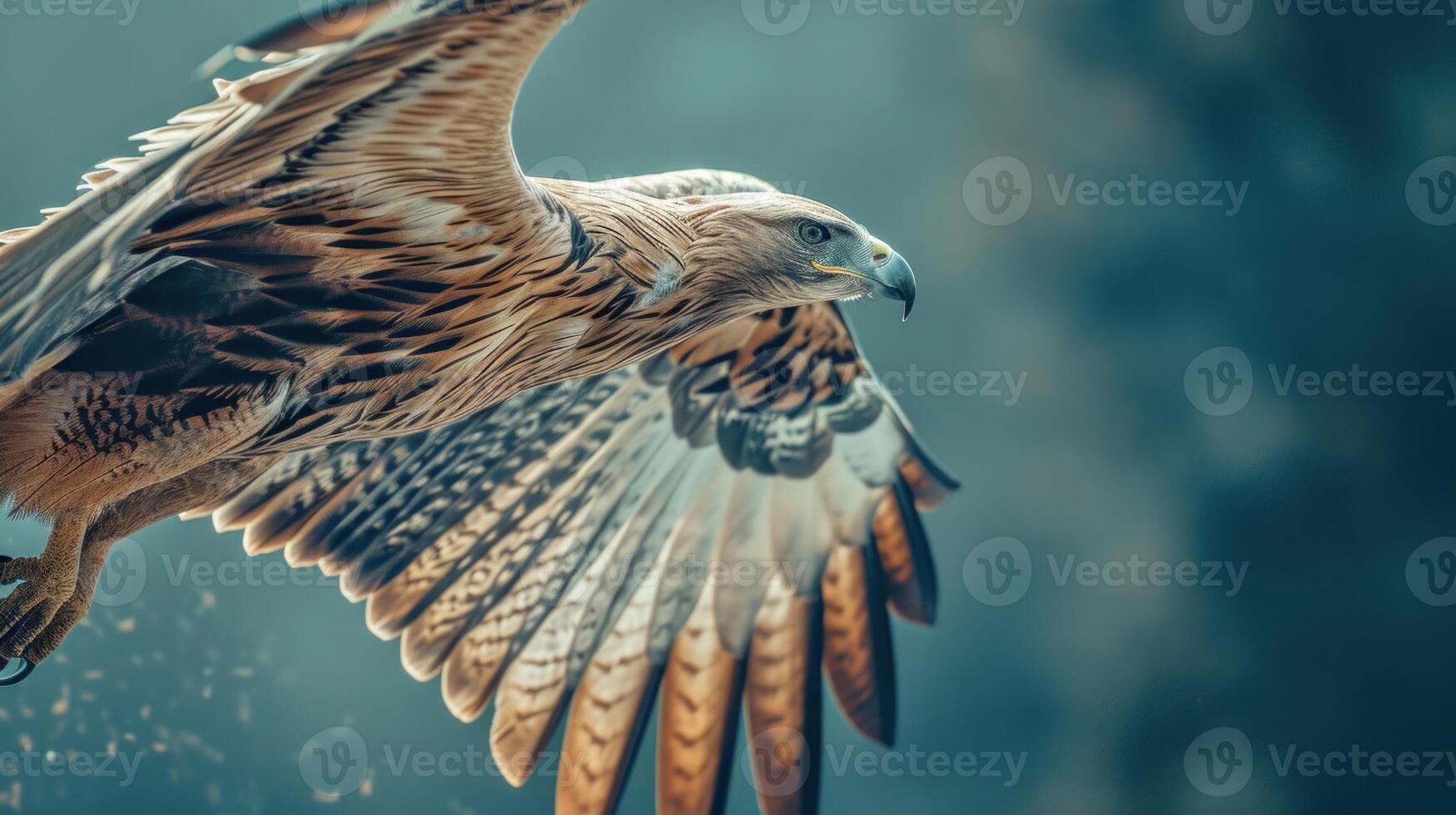 AI generated Closeup of eagle in flight. AI generated. photo