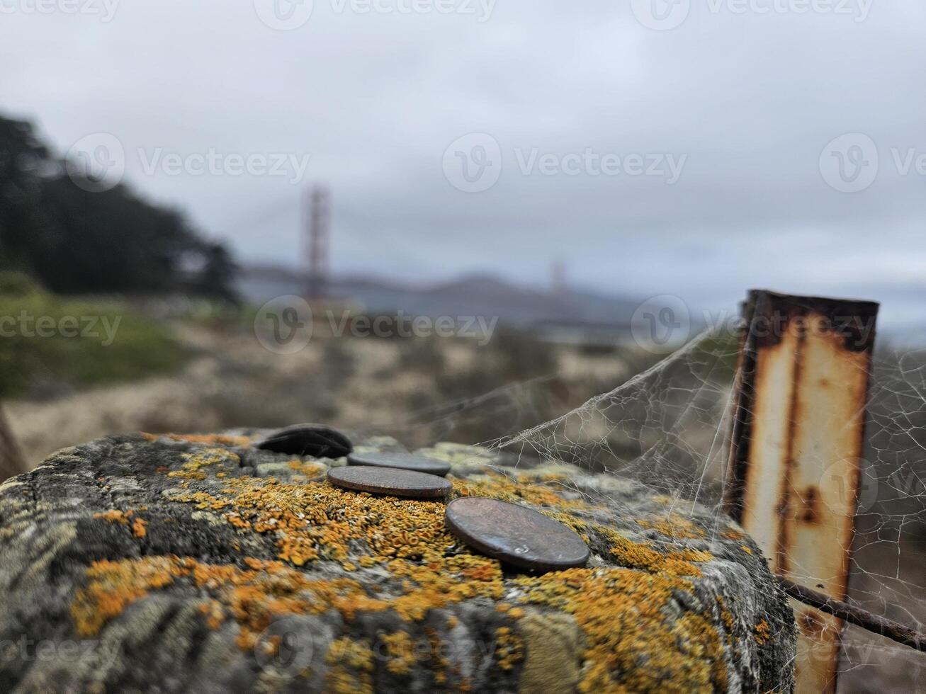 Spider web focus with backdrop of golden gate bridge San Francisco California photo