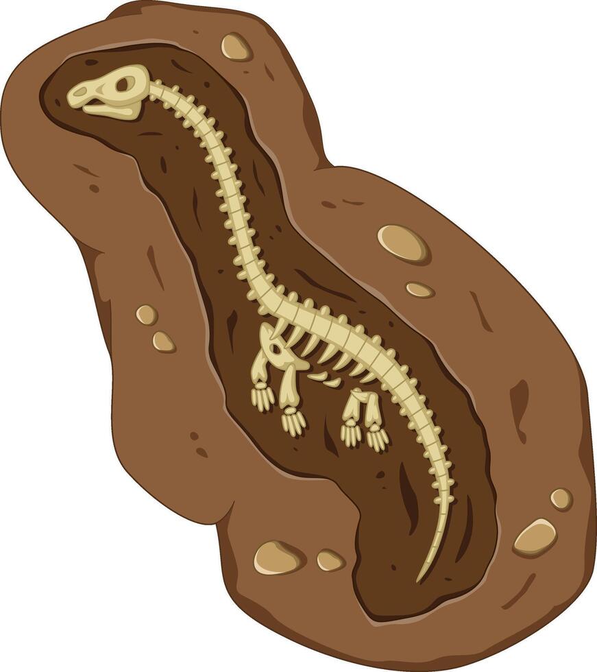 Detailed Dinosaur Fossil Illustration with Cartoon Style vector