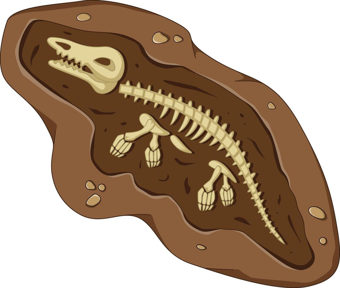 Dinosaur fossil skeleton bones, excavations of archeology isolated vector