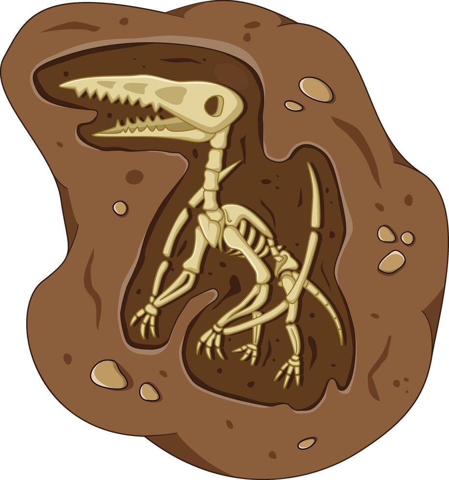 Dinosaur fossil skeleton in the soil, archeological excavation cartoon style vector