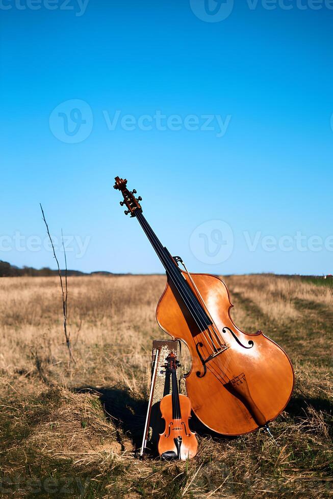 violín y doble bajo en un campo en contra un fondo de amarillentas césped y claro cielo foto