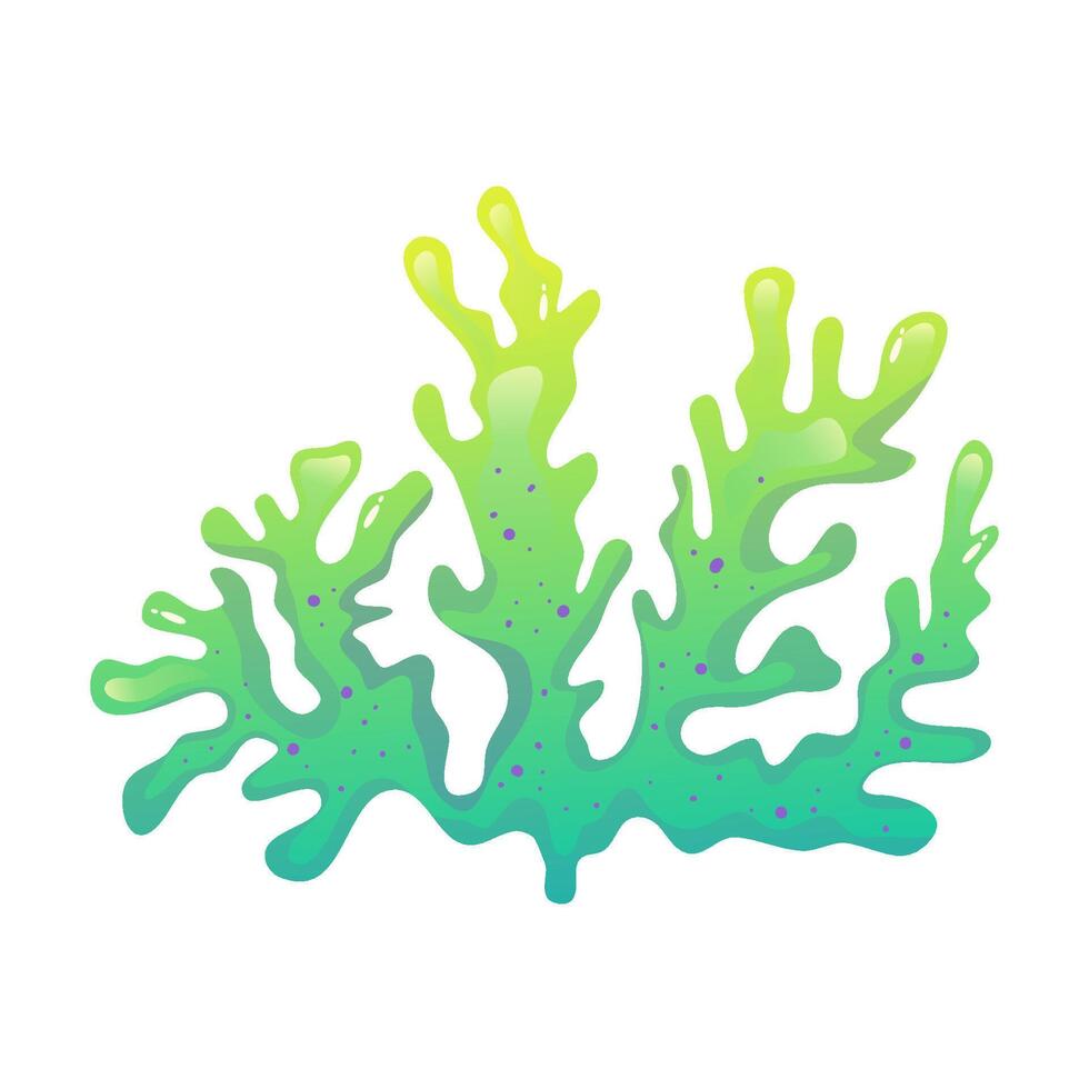 Coral reef underwater with algae. Seaweed ocean plant. Coral undersea fauna. Cartoon Reef isolated. Cartoon Vector design.