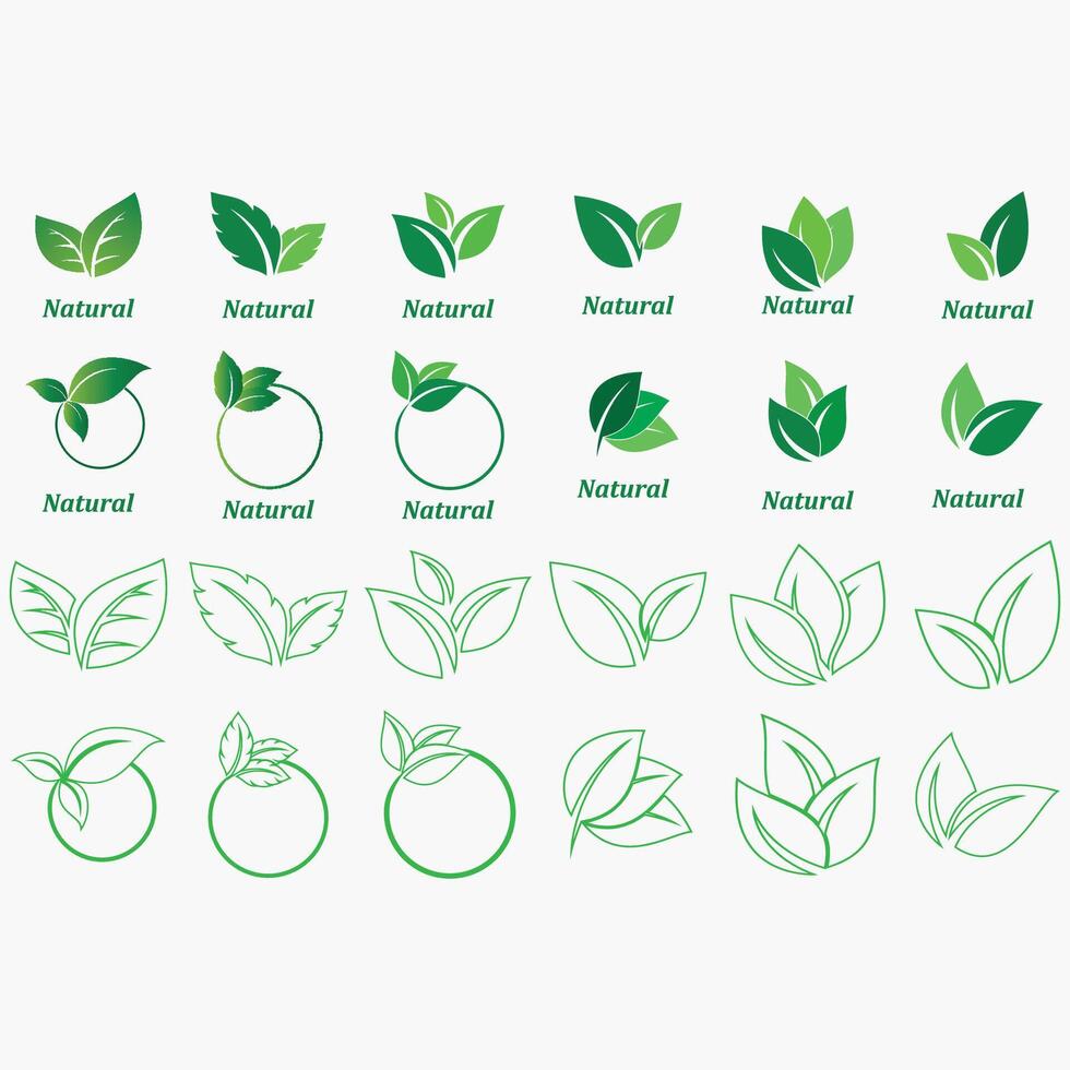 Collection of leaf logos vector