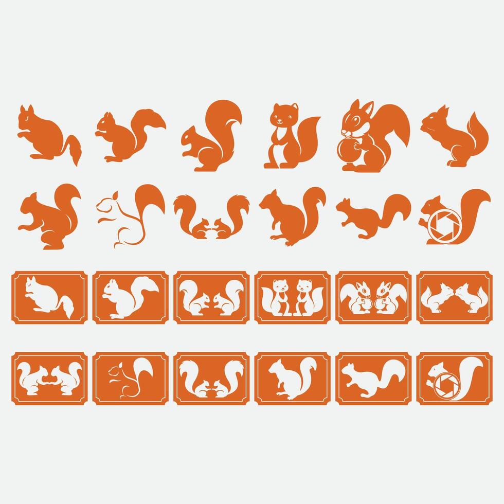 collection of squirrel logos vector