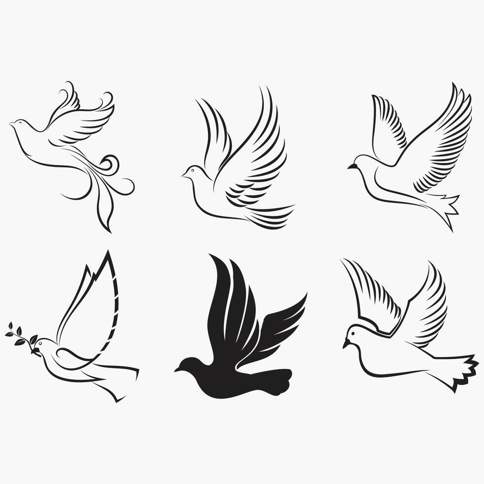 Collection of dove logos vector