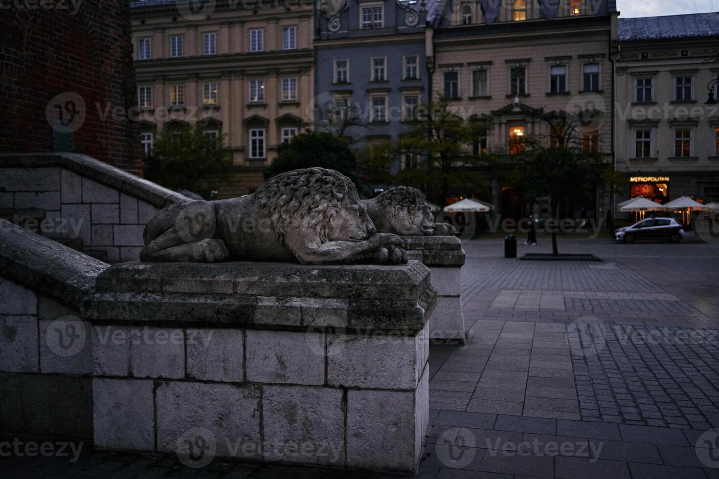 Statues of lions on the main square of Krakow in the evening photo