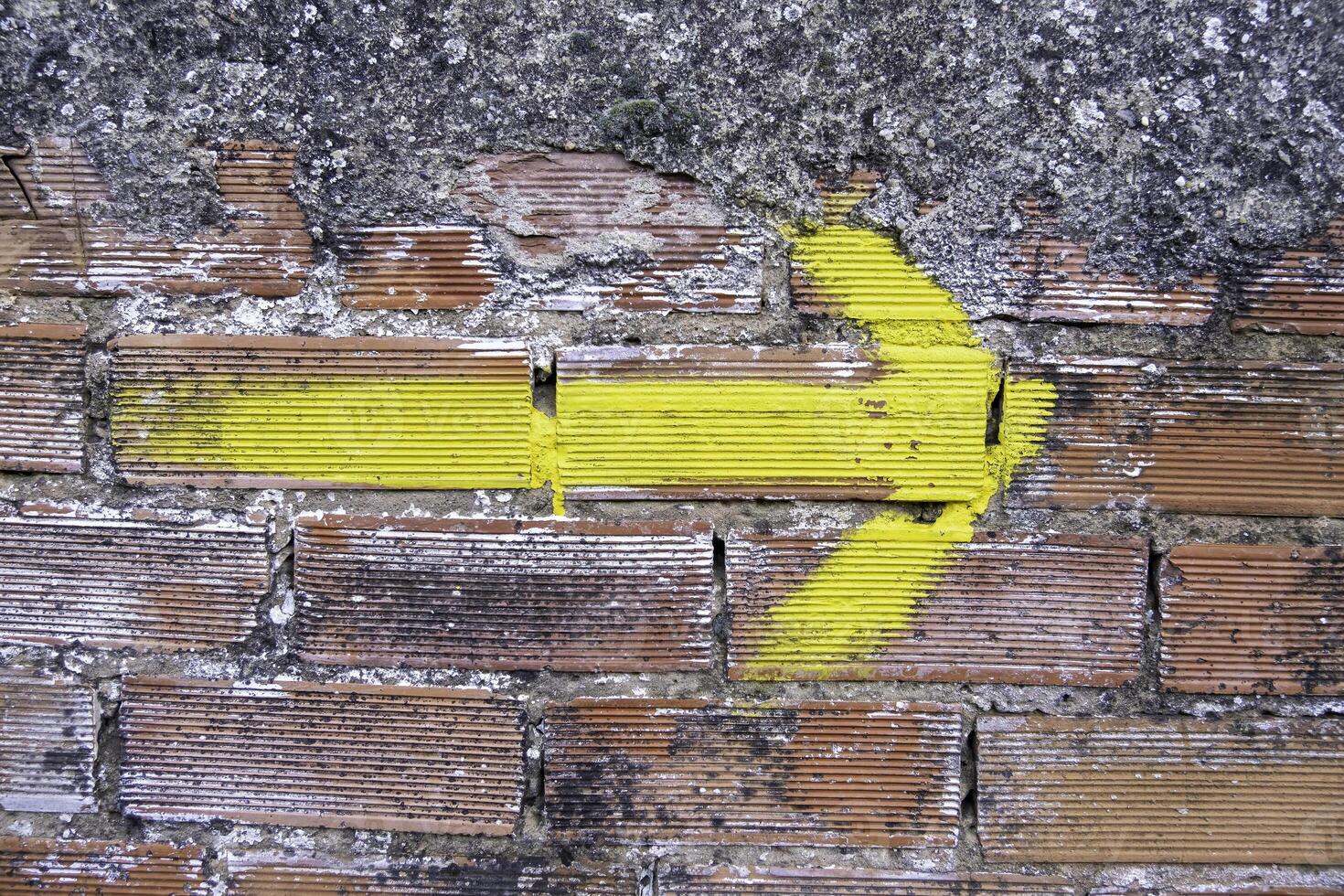 Yellow arrow for pilgrims photo