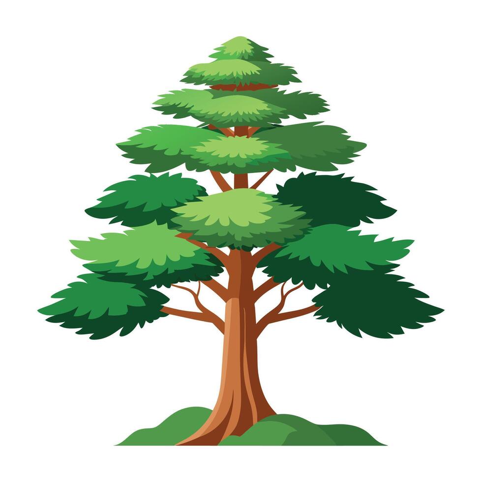 Cedar tree Isolated flat vector illustration