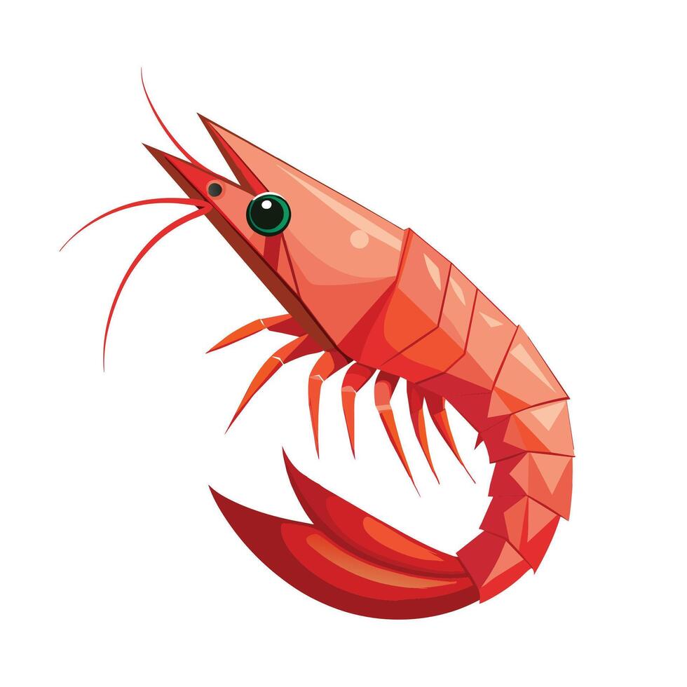 Shrimp triangle shape vector illustration