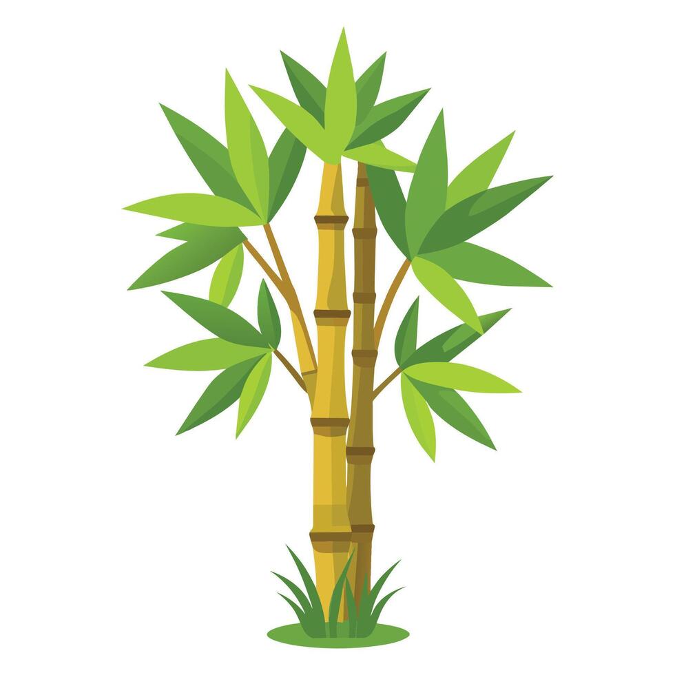 bambú árbol aislado plano vector ilustración