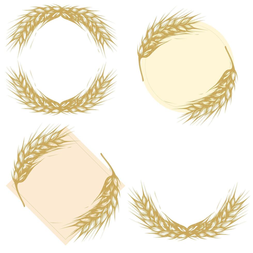 Wreath frame with wheat, barley or rye ears sketch drawing vector illustration isolated on white background. Hand drawn Outline border with place for text. copy space